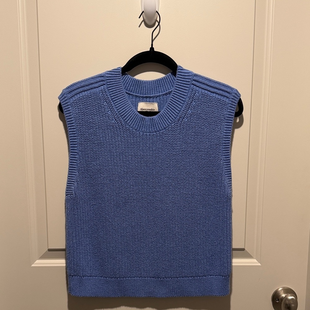 Abercrombie & Fitch Blue Crewneck Sweater
